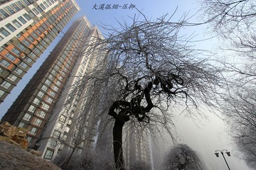 8_9912_HZP
