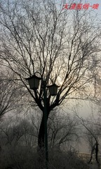 9_9907_HZP