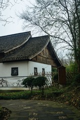176631