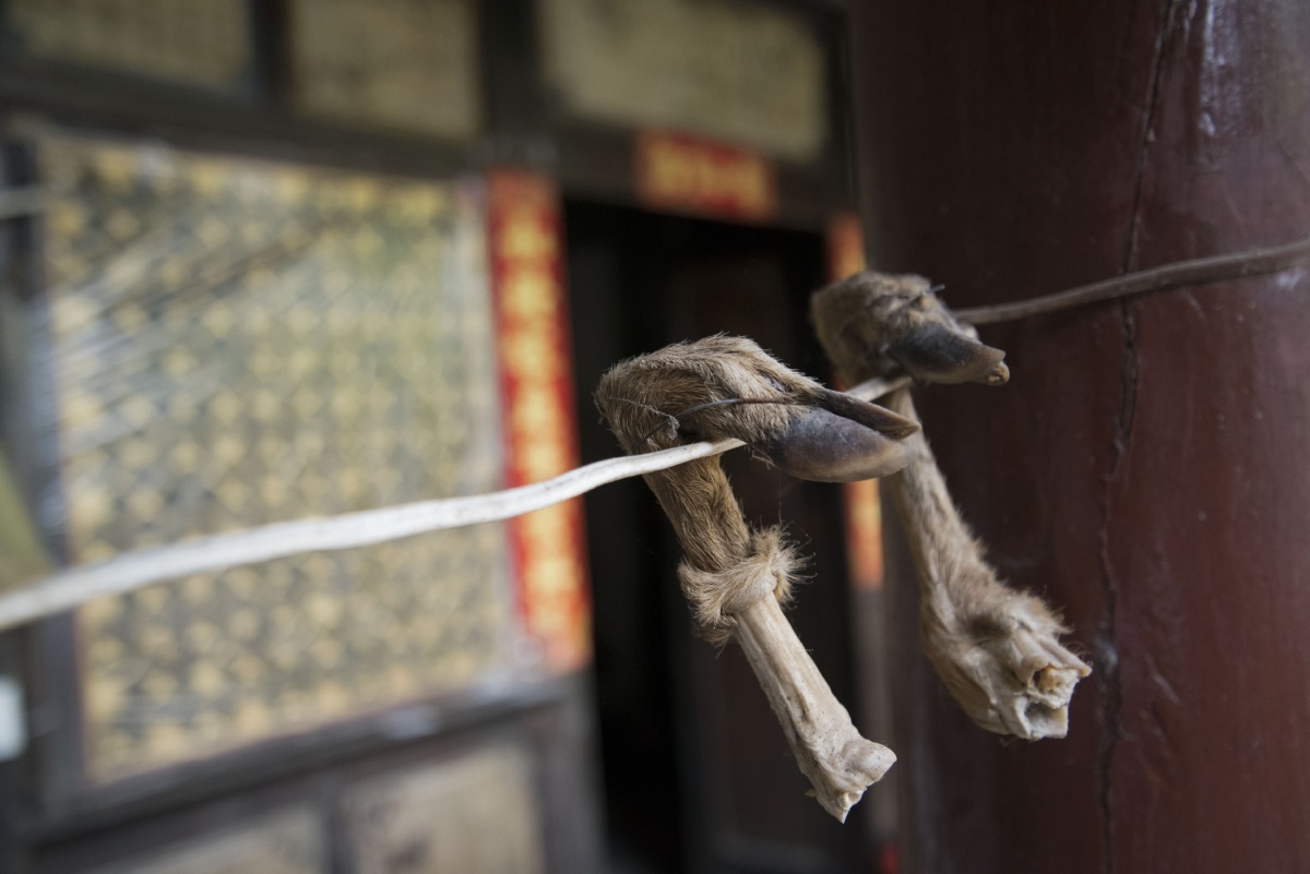 两个小蹄子,听人家说是用来勾锅子的.