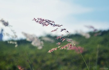 DSC_1064.jpg