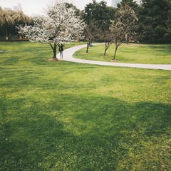 2016-03-17 04.06.50 1