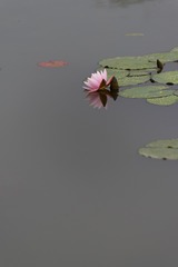 321C6503-F6D5-4751-9FB9-C42DD49D76DC/L0/001