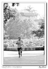 nEO_IMG_DSC_9534-bw.jpg