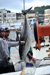 20100627 063343 蘇澳鎮 南方澳第一港區 外來漁工.JPG