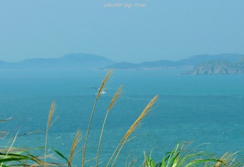 海天一色