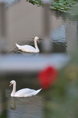 牢