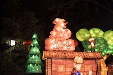 _DSC0011