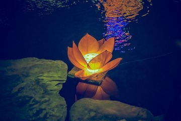 _DSC0098