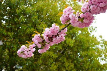 _DSC0046 (2)