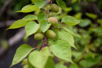 _DSC0067 (2)