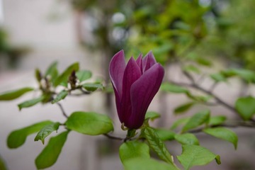 _DSC0054 (2)