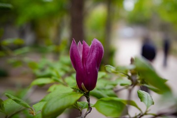 _DSC0057 (2)