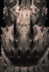 1582031
