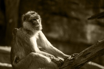 _DSC6169_re