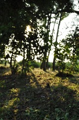DSC_0030.JPG