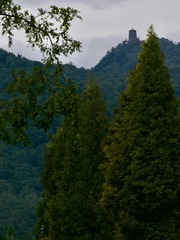 6818F9D0-9C95-4CA5-B24C-2B021DA02947/L0/001