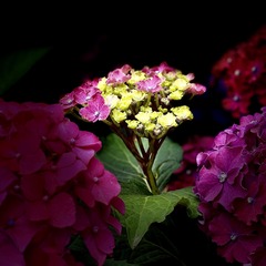 18293004-4674-4C78-B9A9-E896A7574108/L0/001