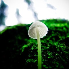 20110712-IMG_0383-1.jpg