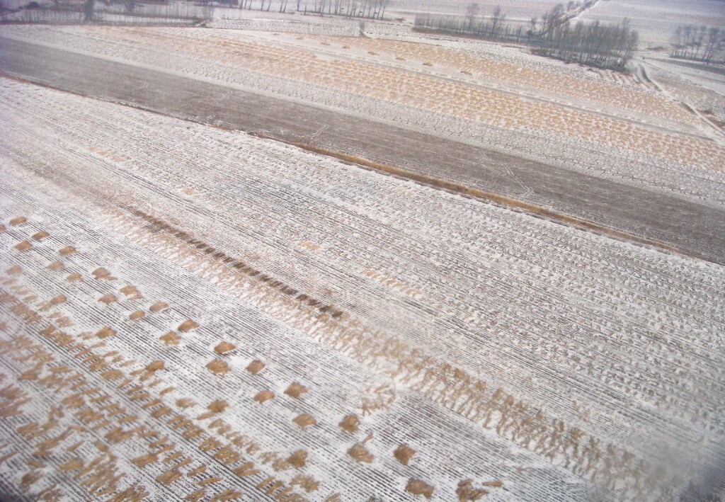 冰雪覆盖大地
