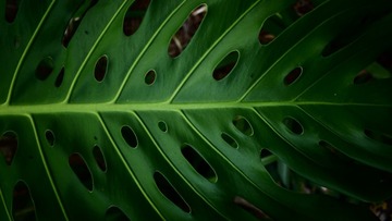 P1070925
