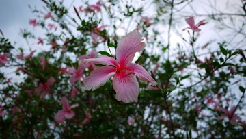 P1070950