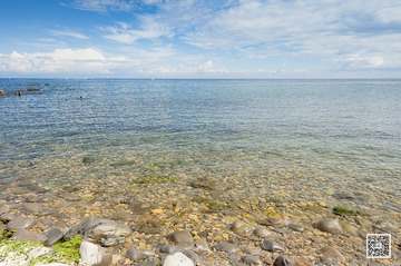 透明的海洋
