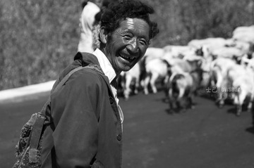 _DSC0044