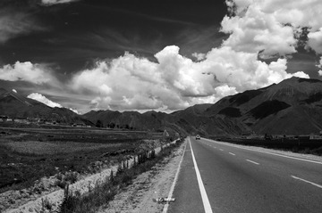 _DSC0174