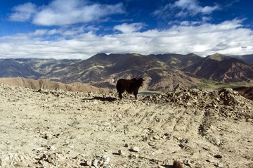 _DSC0096