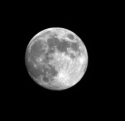 _DSC1018