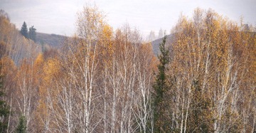 DSC_0057_cr