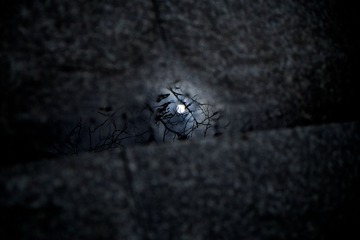 2014-03-14 14-59-34