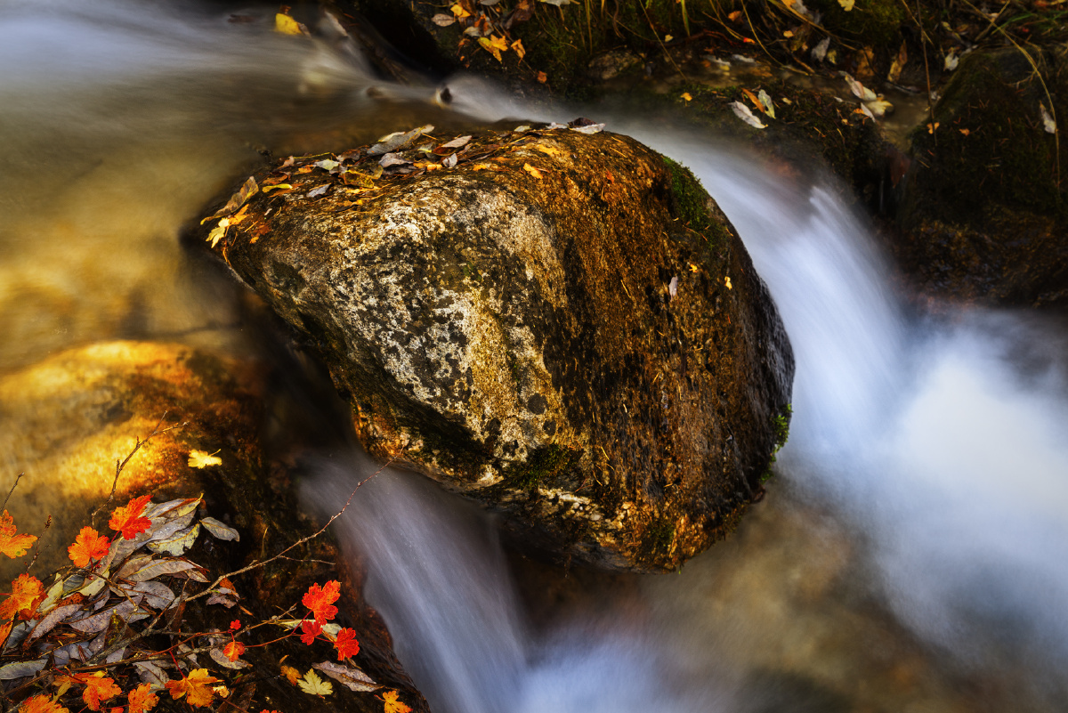 红叶流水_微摄