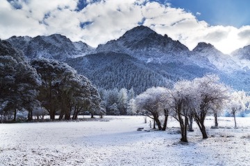 雪后的早晨