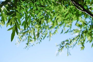 1250265
