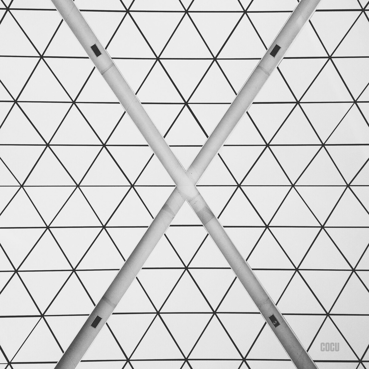X | Ins: cocu_liu