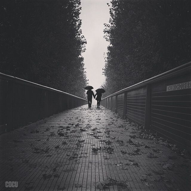 The Nichols bridge. - USA. Chicago. Millennium park. | Ins: cocu_liu