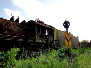DSC00459_