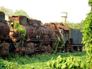 DSC00462_