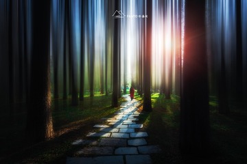 林间小道
