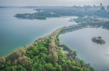 东湖湖畔