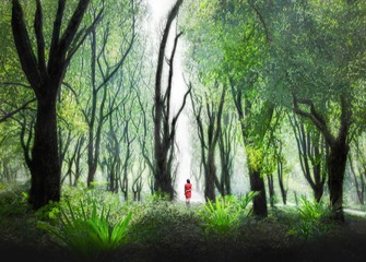 小林子