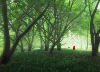 小树林