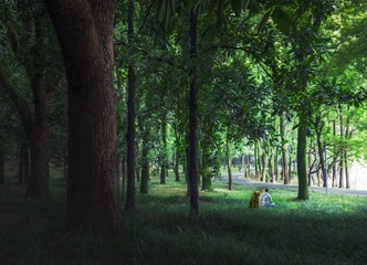 小林子