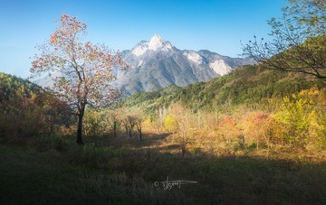 山峰