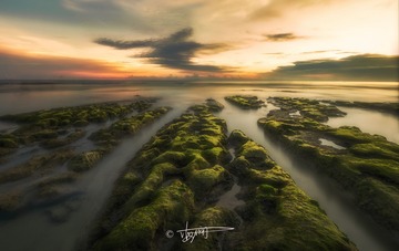 滩涂