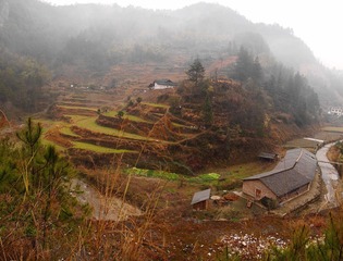 全景图1