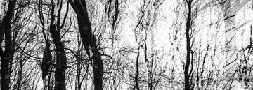 _WYY1637