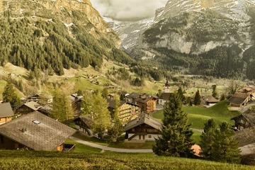 _WYY3178